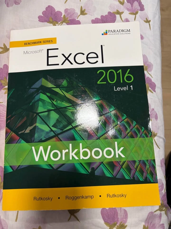Excel 2016 Level 1 Textbook and workbook - photo 3