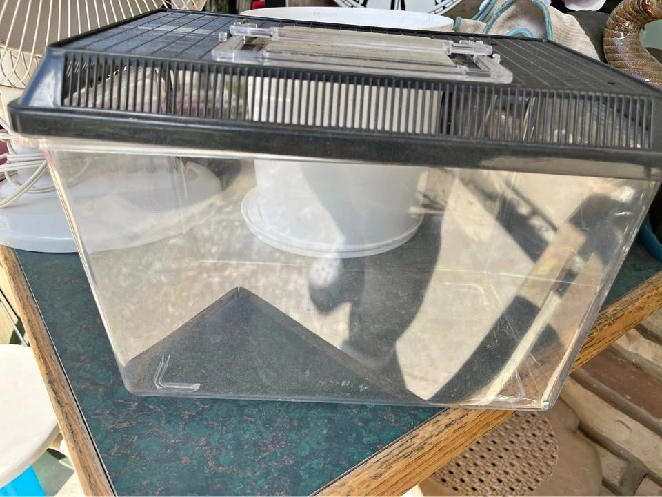 Small Plastic Pet Terrarium