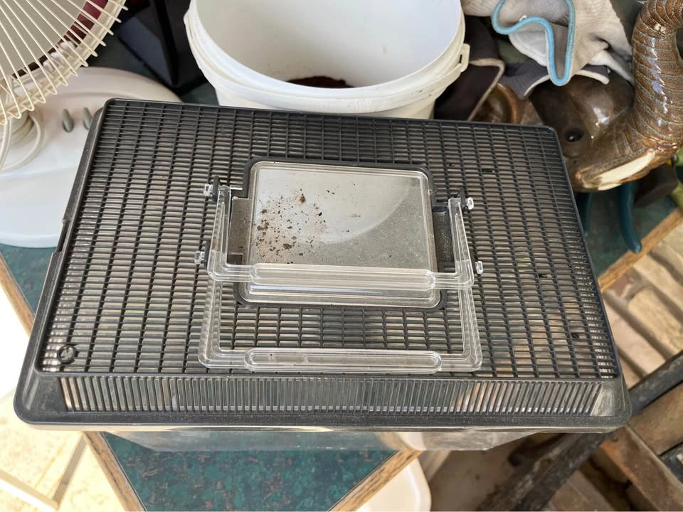 Small Plastic Pet Terrarium - photo 2