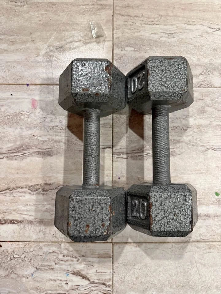20 lb Dumbbells Pair