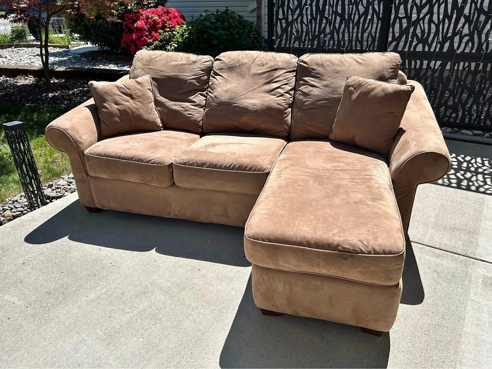 Free Costco Couch