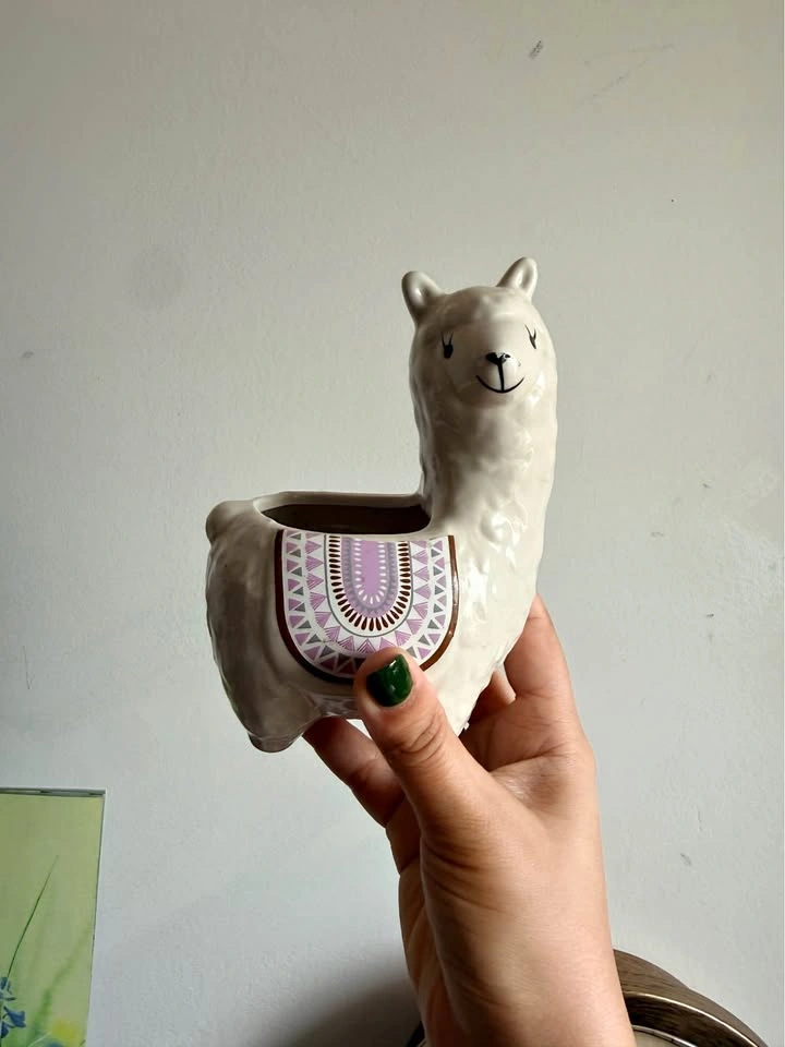 Cute llama planters (2)
