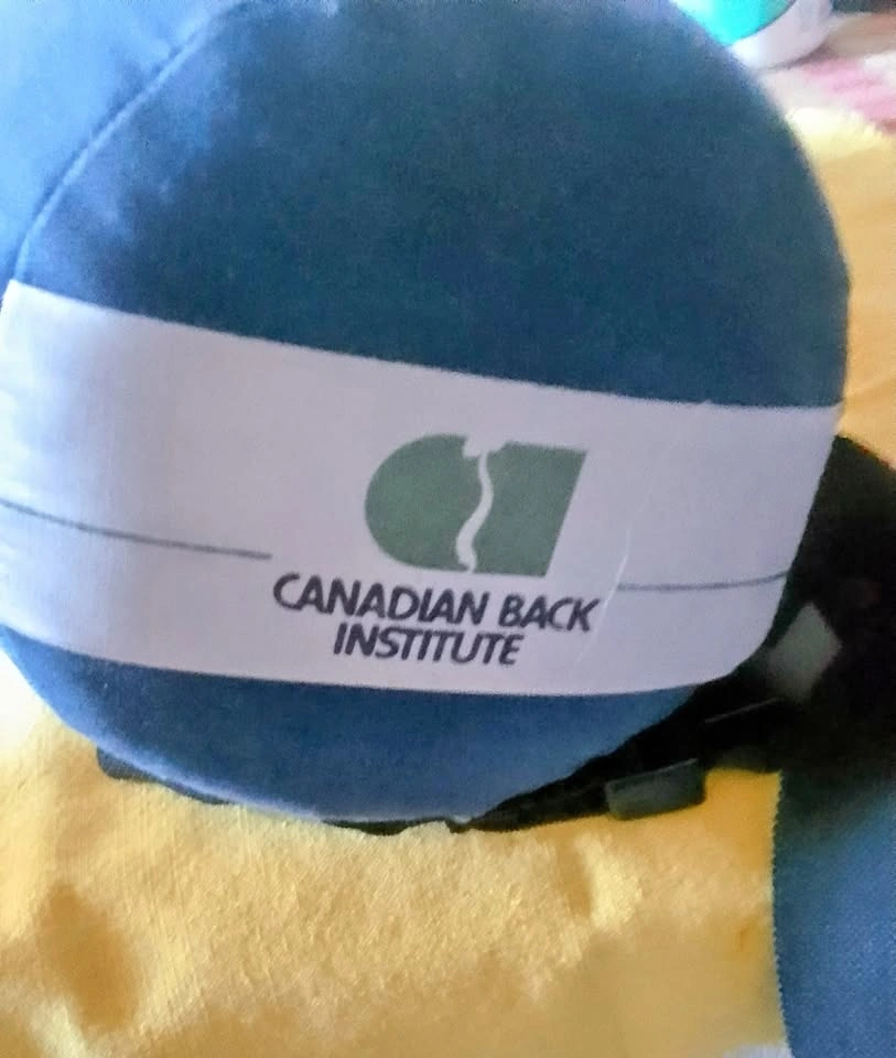 Lumbar Roll