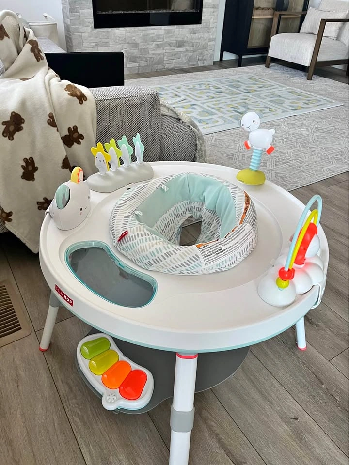 Skip Hop Activity Center