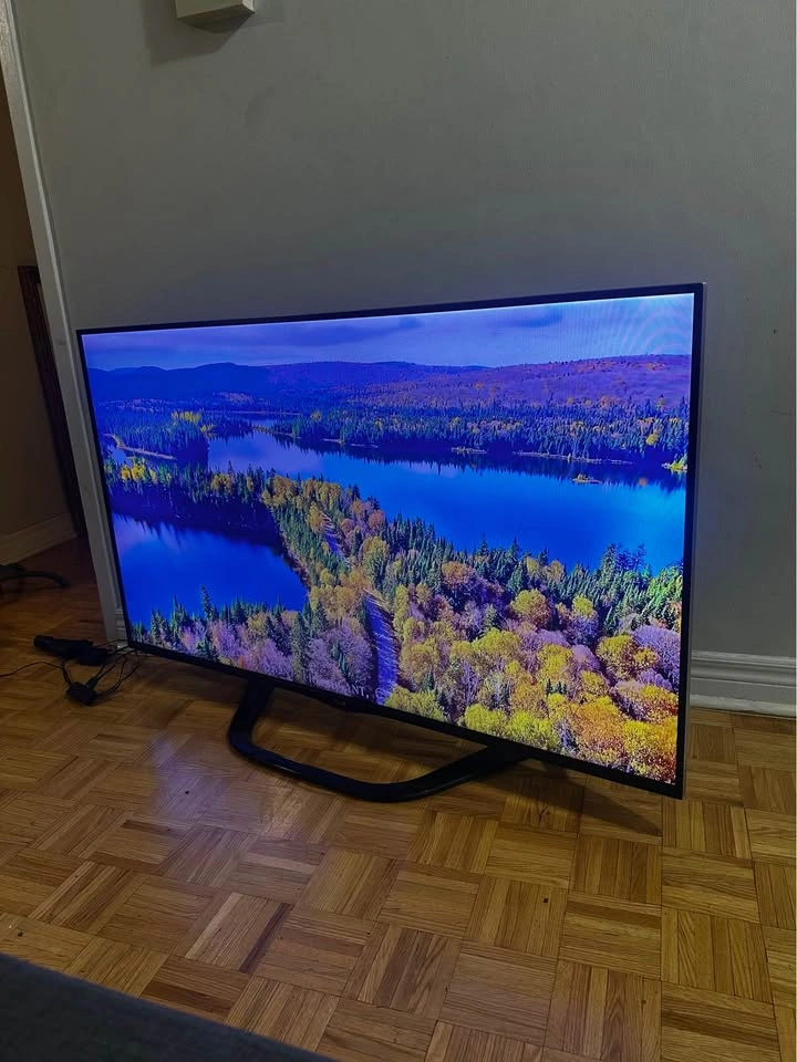 LG 55" Smart TV with Roku