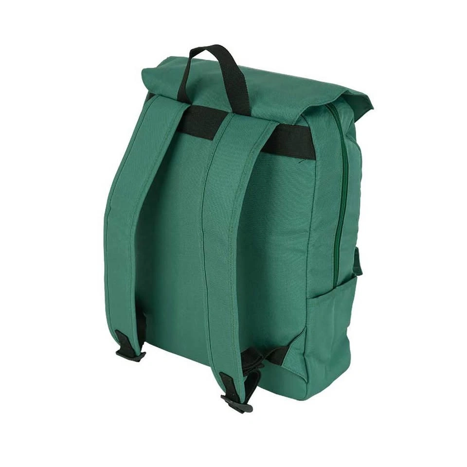 Arbonne Green Flap Top Backpack - photo 2