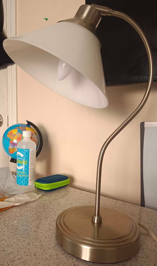 Brushed Nickel Gooseneck Desk Lamp