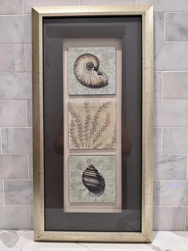 Framed Nautical Shell and Botanical Wall Art