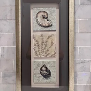 Framed Nautical Shell and Botanical Wall Art