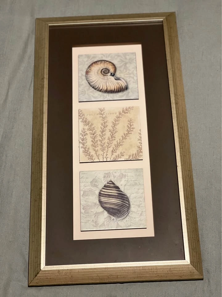 Framed Nautical Shell and Botanical Wall Art - photo 2