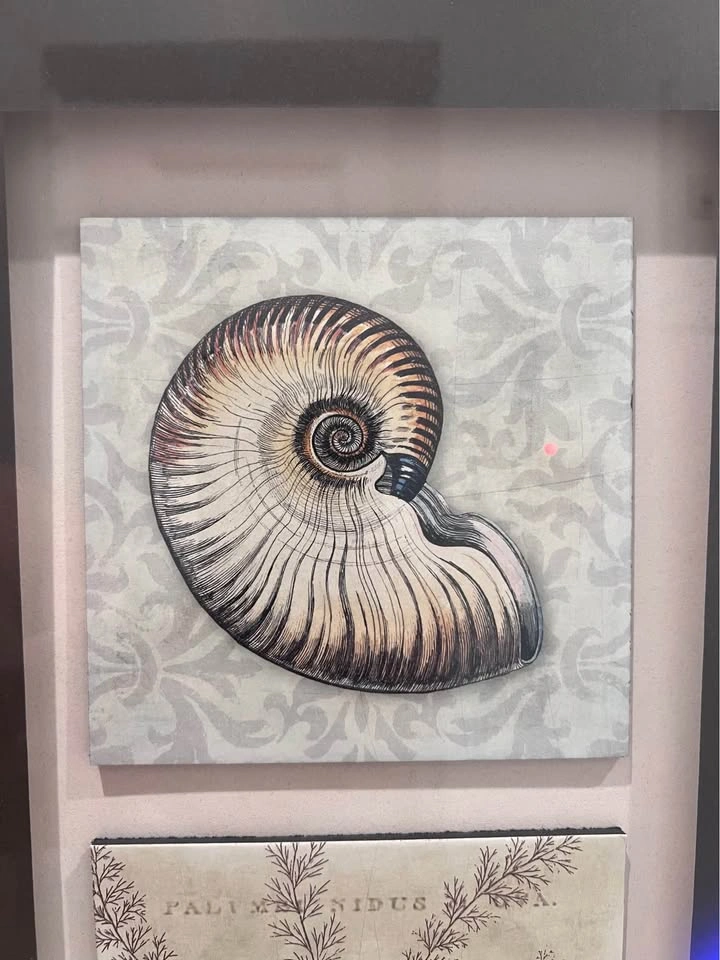 Framed Nautical Shell and Botanical Wall Art - photo 3