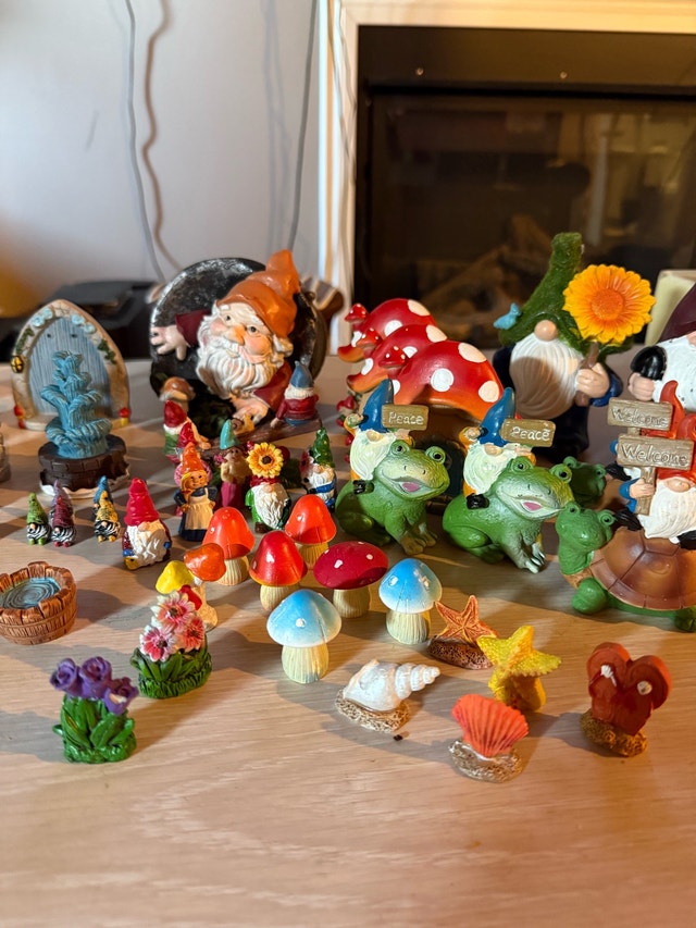 GNOME TOWN - photo 2