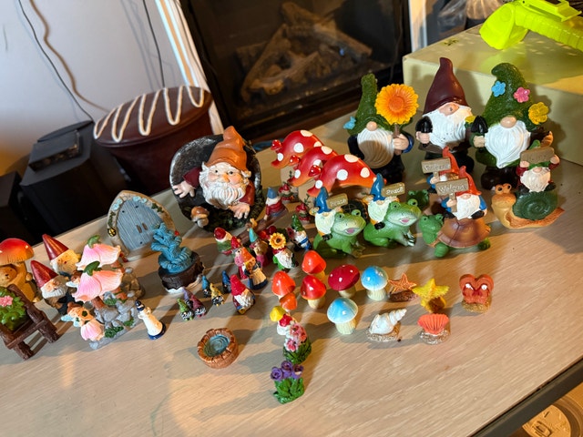 GNOME TOWN - photo 4