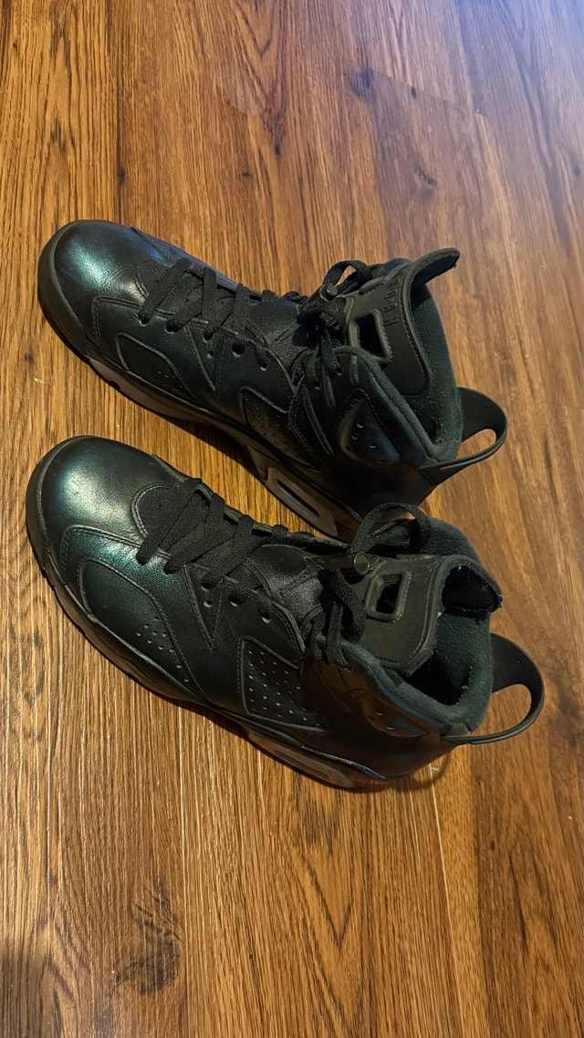 Air Jordan 6 Chameleon - photo 2