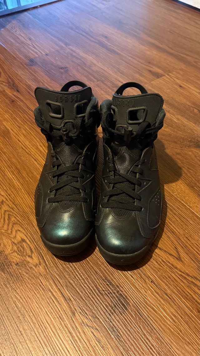 Air Jordan 6 Chameleon - photo 3