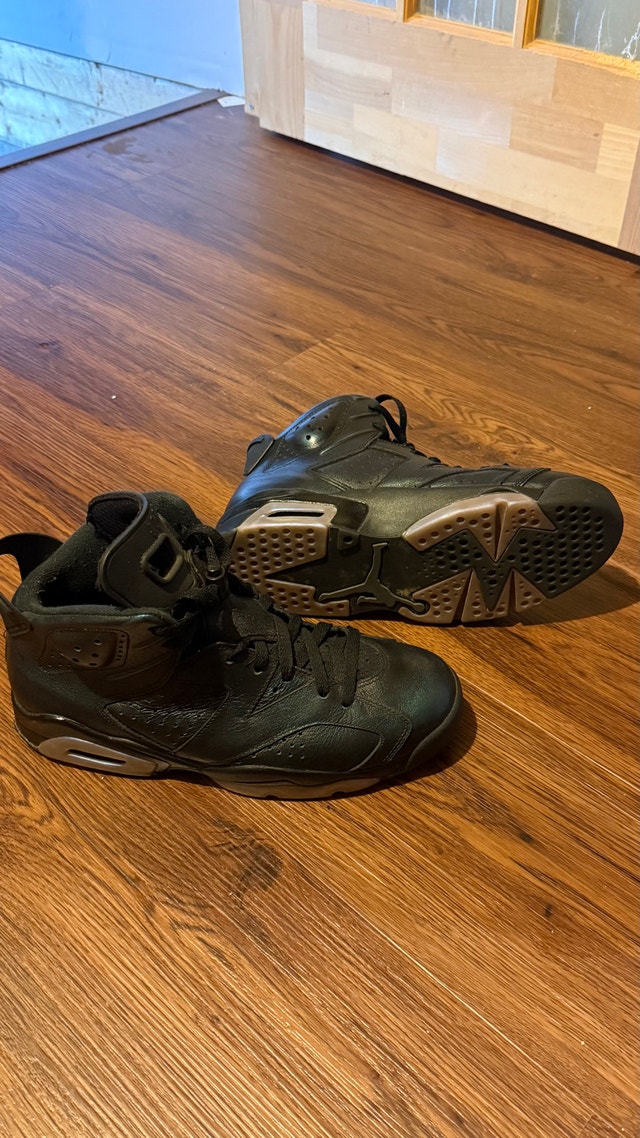 Air Jordan 6 Chameleon - photo 4