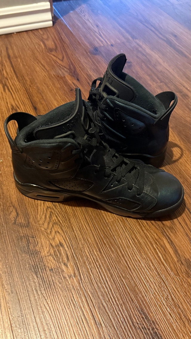 Air Jordan 6 Chameleon - photo 5