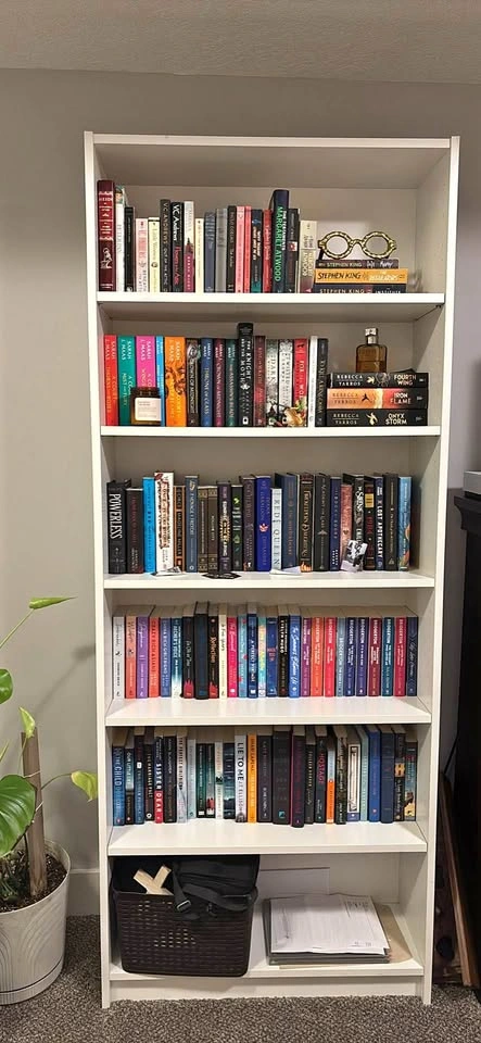 IKEA Billy Bookshelves (2)