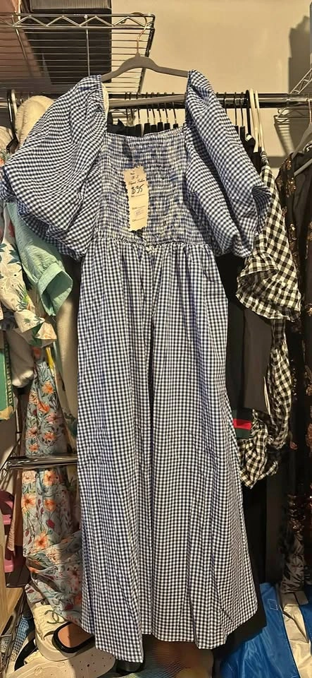 Fashion Blue Gingham Smocked Puff Sleeve Dress
