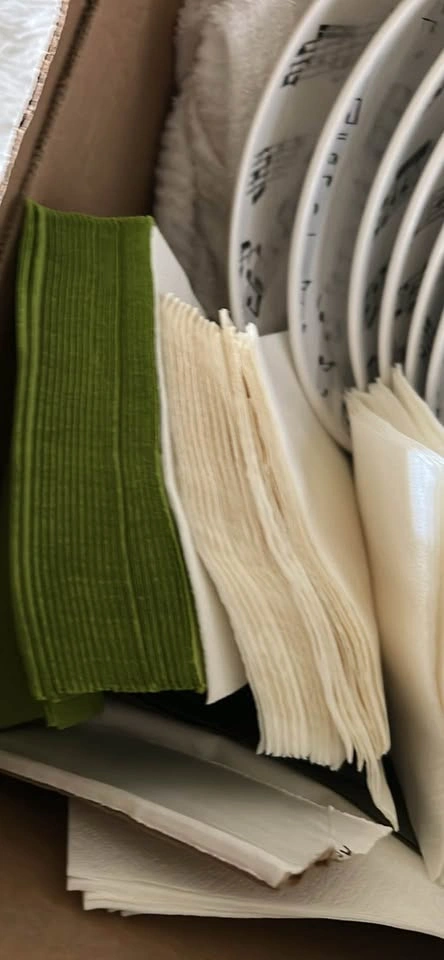 Plates and paper napkins - photo 4