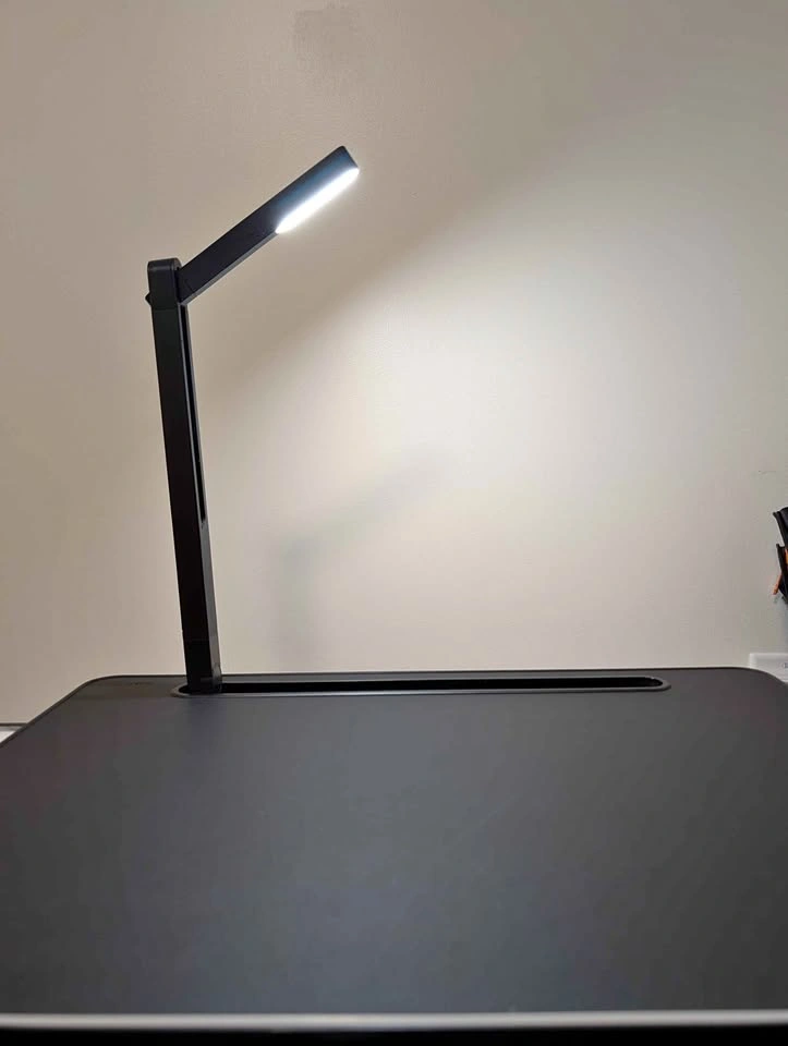 Laptop Bed Tray Desk with LED Light