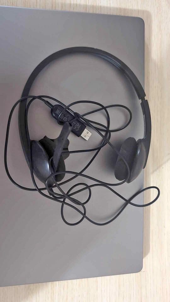 Logitech Wired headset