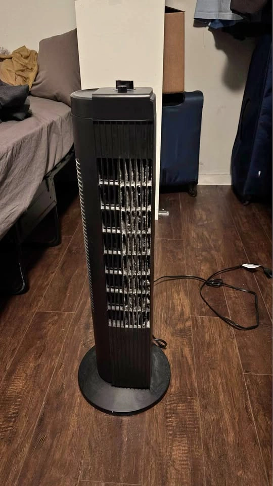 Fan