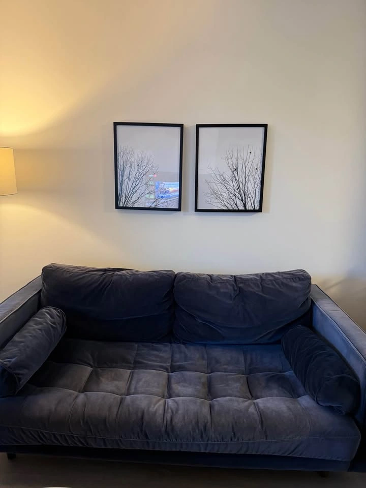 Article velvet loveseat - photo 4