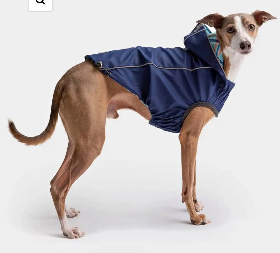 Gf pet reversible blue plaid dog raincoat