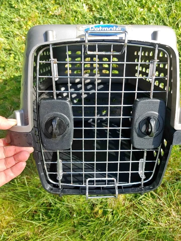 19" Petmate Compass Portable Pet Carrier