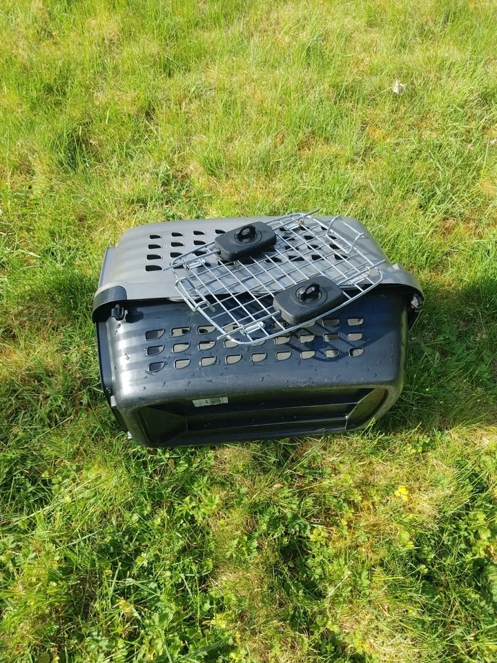 19" Petmate Compass Portable Pet Carrier - photo 5