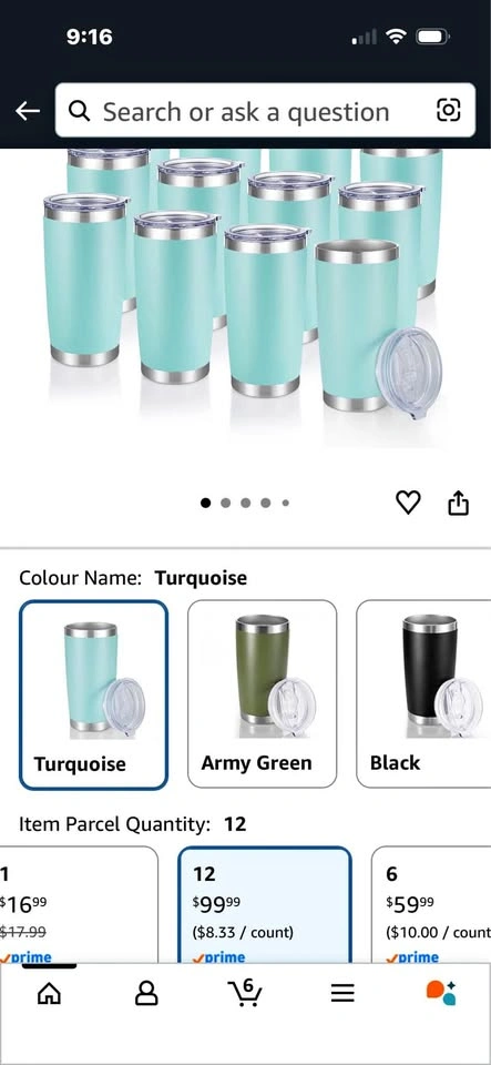 Case of 12 Aqua Insulated Tumblers for Crafters