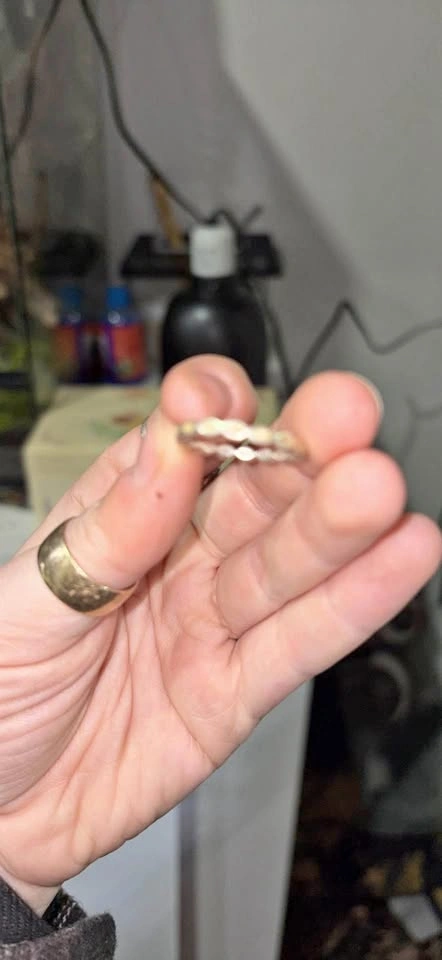 Pandora Retired spacer stacking ring