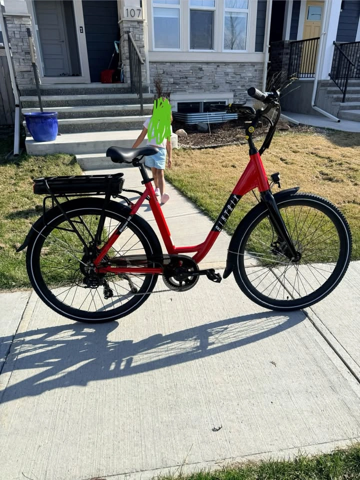 Ebike - photo 2