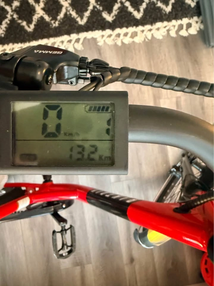 Ebike - photo 3