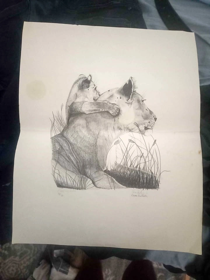 Drawing print (lioness and her cub) artist Vivian De Winter