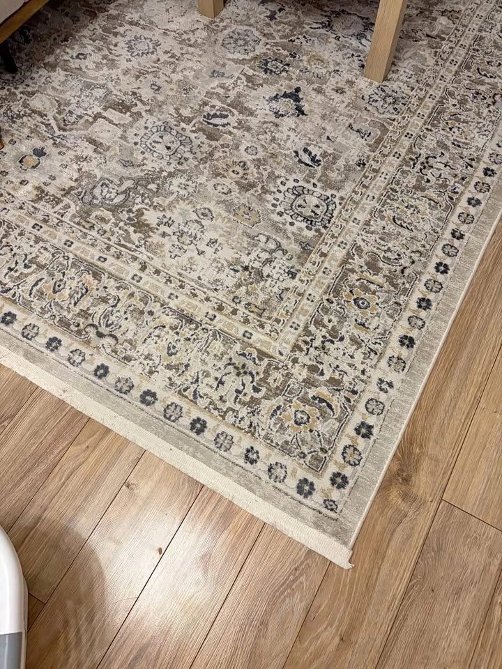 Traditional Style Area Rug