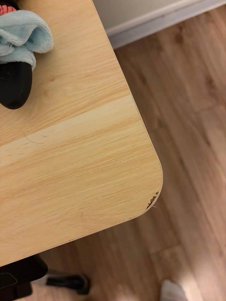 Electric Standing Desk Light Brown - photo 3