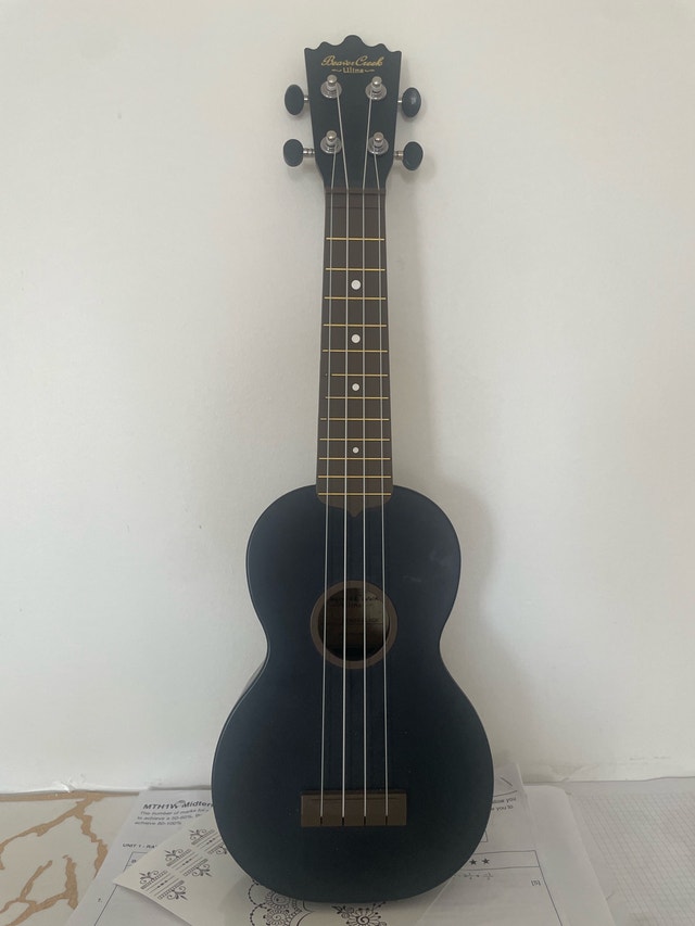 Ukulele for Sale!
