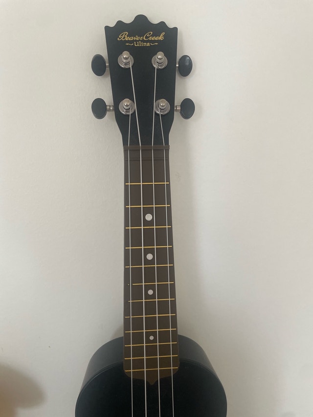 Ukulele for Sale! - photo 2