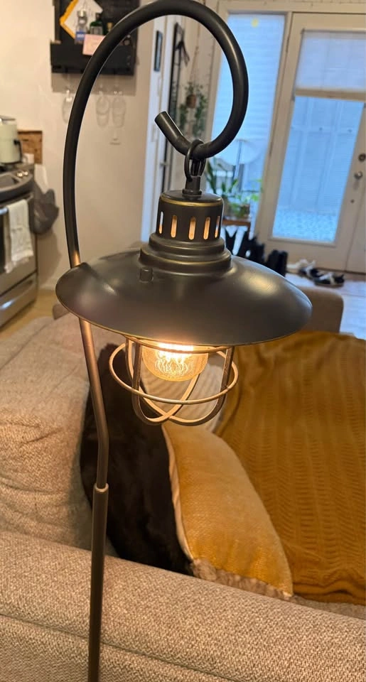 Industrial Lantern Floor Lamp - photo 3