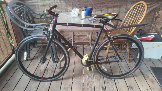 Masi Bike (Medium Frame)