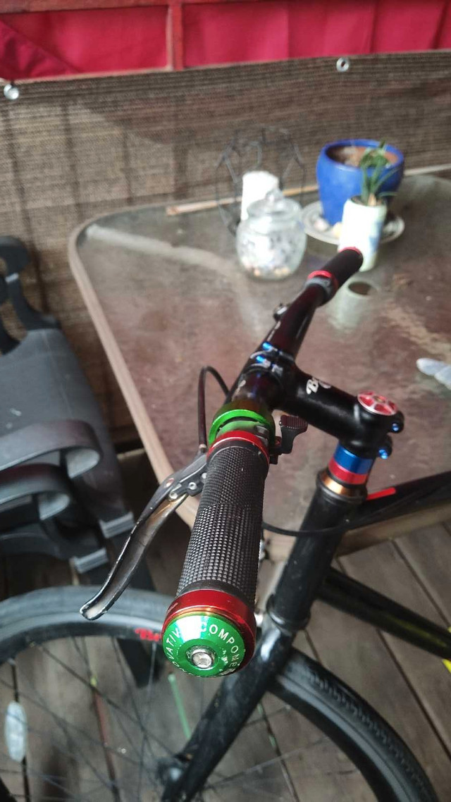 Masi Bike (Medium Frame) - photo 3