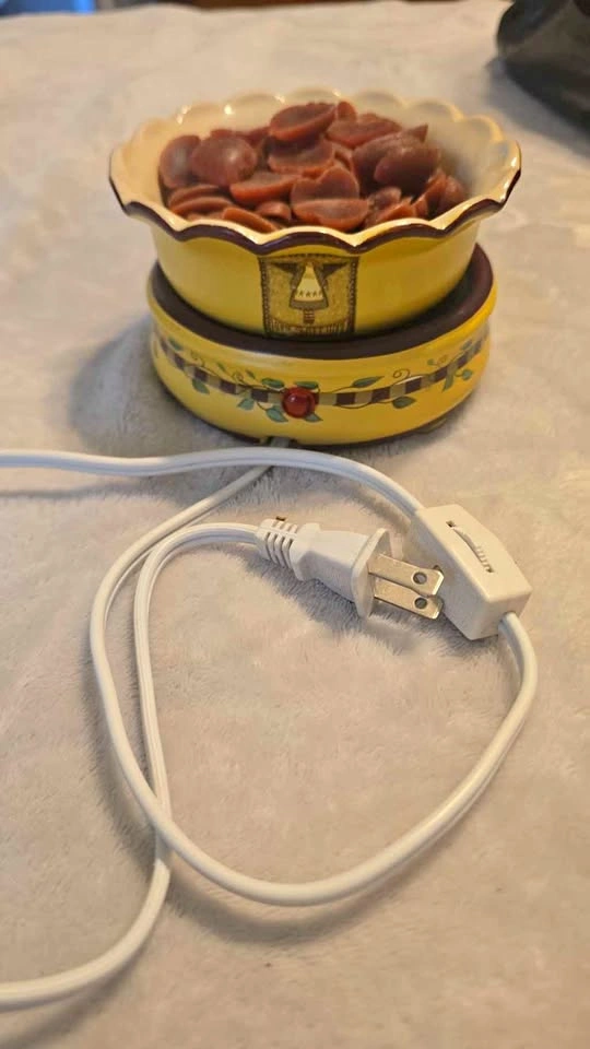 NEW Electric 2-in-1 Candle & Wax Melt Warmer – Includes Heart Wa