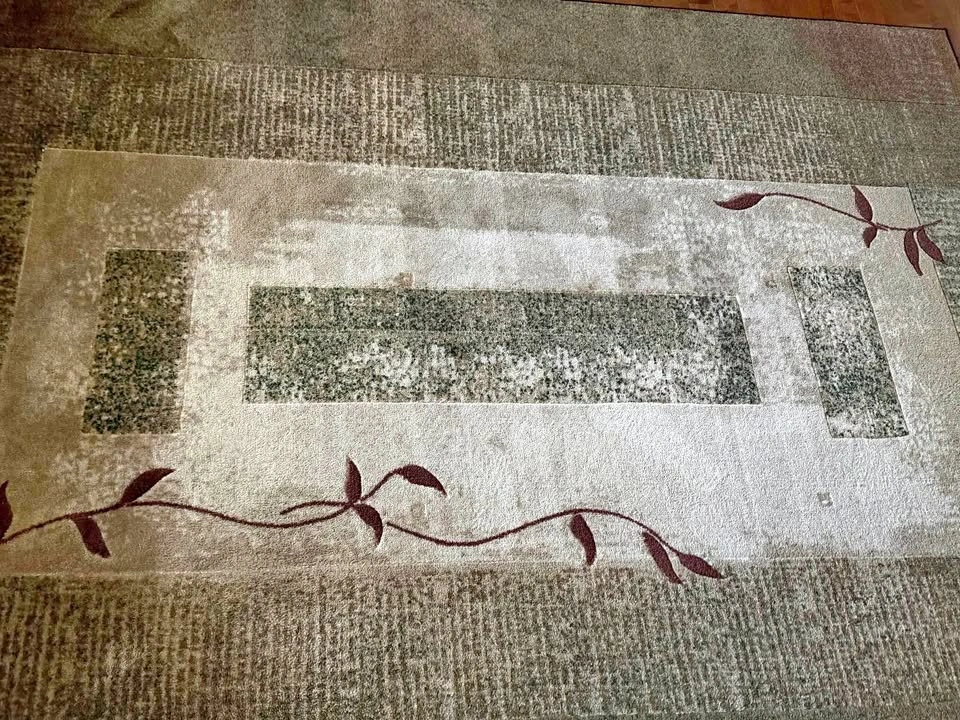 allen + roth Printed Area Rug