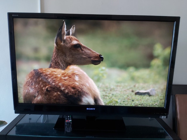 Sony TV Bravia - photo 4