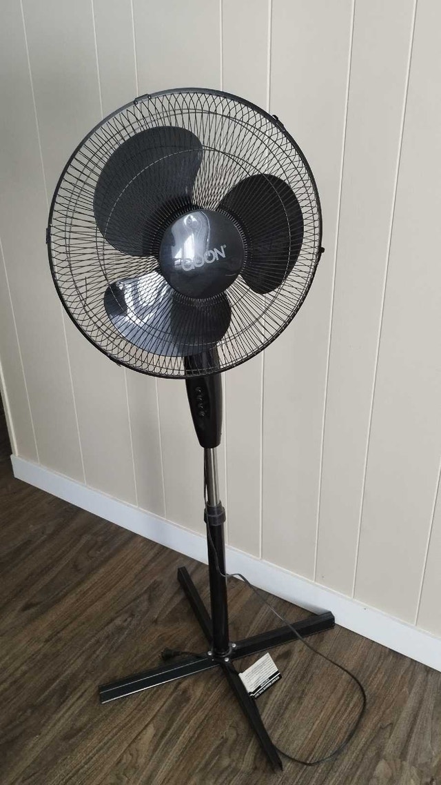Oscillating Stand Fan