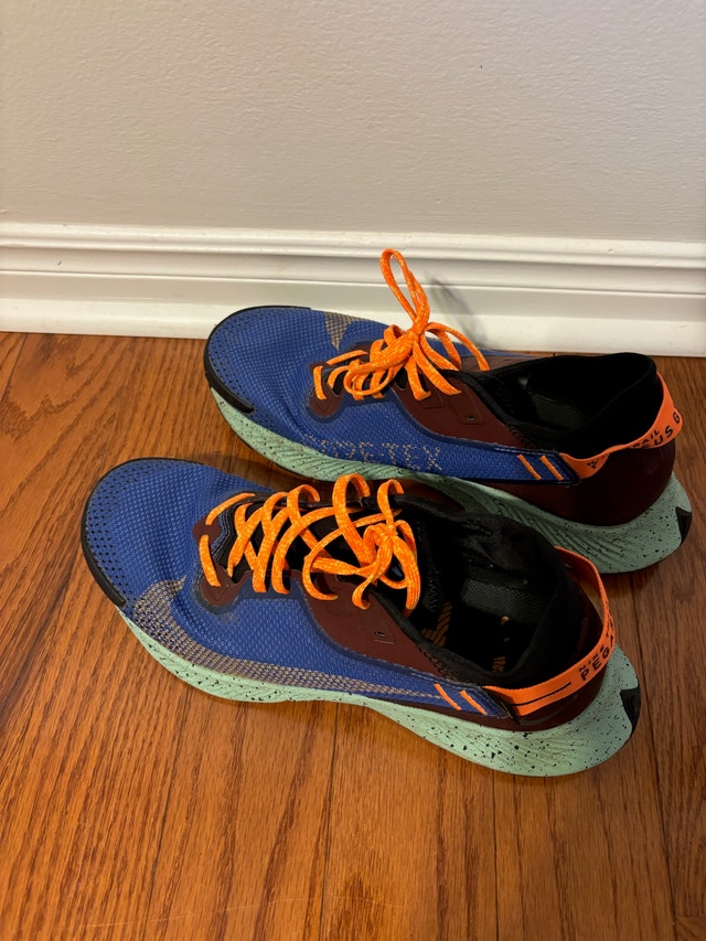 Nike Trail Pegasus GTX 9.5