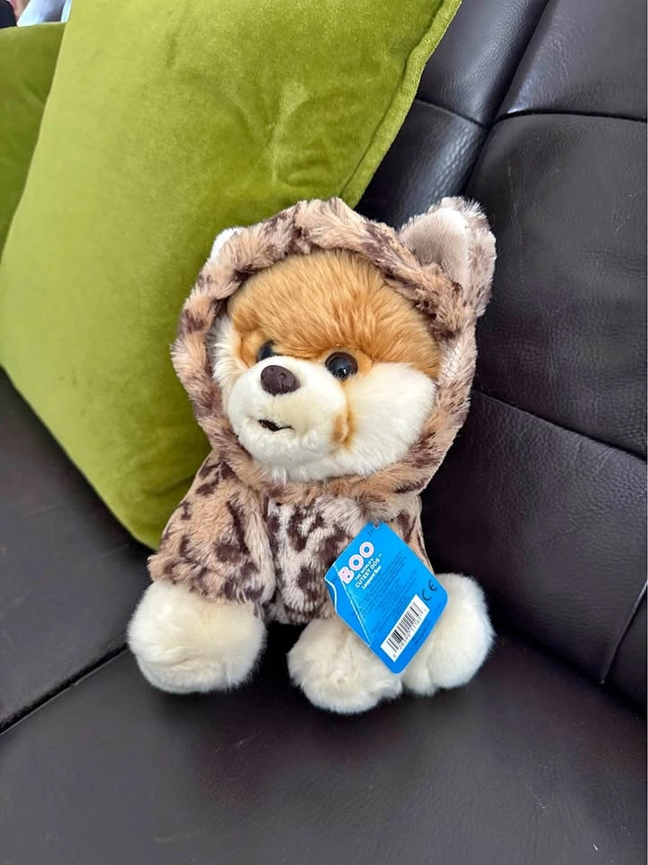 Dog stuffy