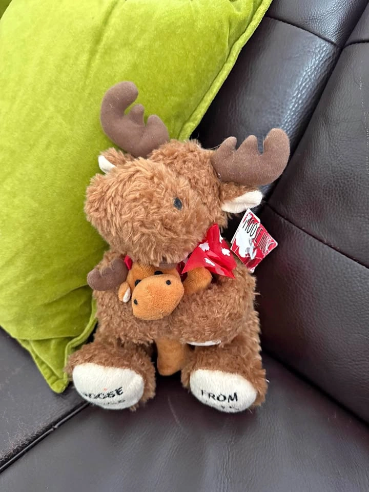 Moose stuffy